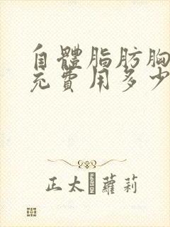 自体脂肪胸部填充费用多少