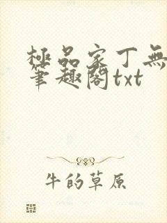 极品家丁无删节笔趣阁txt封面