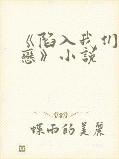 《陷入我们的热恋》小说