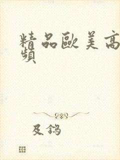 精品欧美高清视频