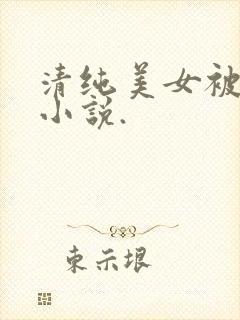 清纯美女被爆操小说.