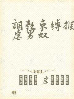 调教束缚捆绑私虐男奴封面