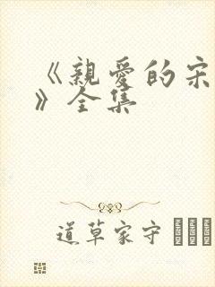 《亲爱的宋小姐》全集