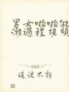 男女啪啪做爰高潮过程视频