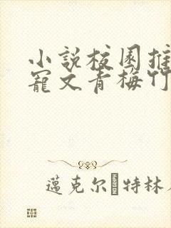 小说校园推荐甜宠文青梅竹马