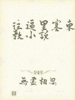 往逼里塞东西调教小说