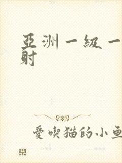 亚洲一级一片内射