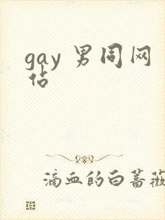 gay 男同网站
