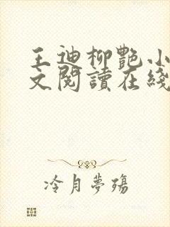 王迪柳艳小说全文阅读在线封面