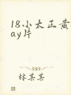 18小太正黄gay片