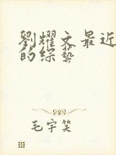 刘耀文最近参加的综艺