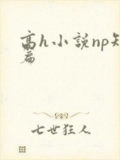 高h小说np短篇