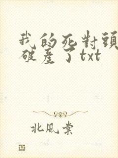 我的死对头终于破产了txt