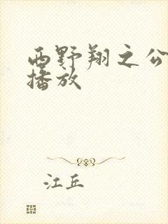 西野翔之公在线播放