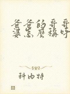 爸爸的哥哥的老婆怎么称呼