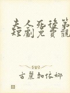 夫人死后第三年短剧免费观看封面