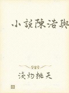 小说陈浩与赵悦