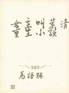 女主叫叶清雅的重生小说