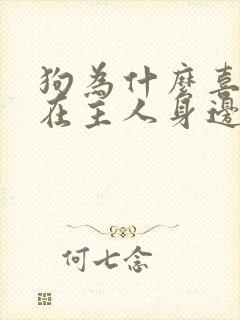 狗为什么喜欢睡在主人身边