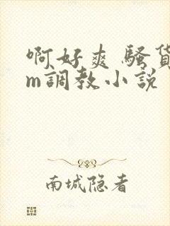 啊好爽 骚货sm调教小说