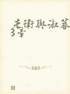 老卫与淑蓉第13章