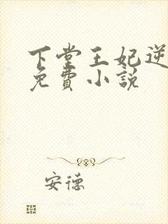 下堂王妃逆袭记免费小说