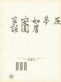 宁安如梦原著小说圆房