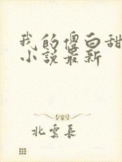 我的傻白甜老婆小说最新