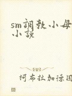 sm调教小母狗小说