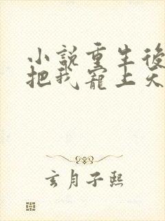 小说重生后渣总把我宠上天txt