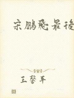 宋鹏飞最后结局