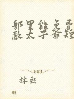 那里能免费看无敌太子爷短剧