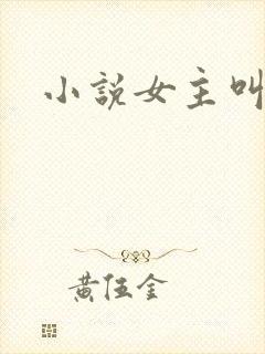 小说女主叫陈安