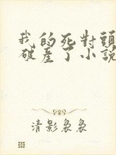 我的死对头终于破产了小说封面