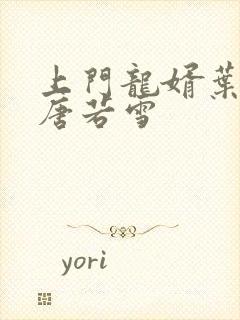 上门龙婿叶凡与唐若雪