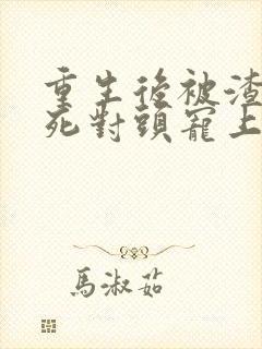 重生后被渣男的死对头宠上天短剧免费封面