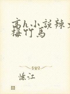 高h小说辣文青梅竹马