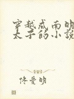 穿越成南明永历太子的小说封面