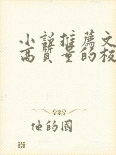 小说推荐文笔好高质量的校园文