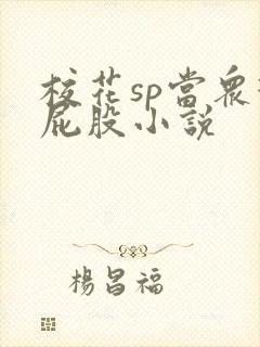 校花sp当众打屁股小说封面