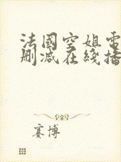 法国空姐电影无删减在线播放完整版