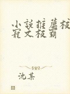 小说推荐校园甜宠文校霸封面