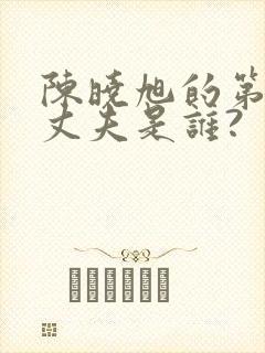 陈晓旭的第一任丈夫是谁?封面