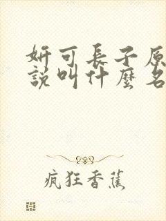 妍可长子原著小说叫什么名字