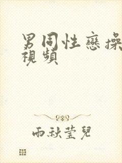 男同性恋操肛门视频