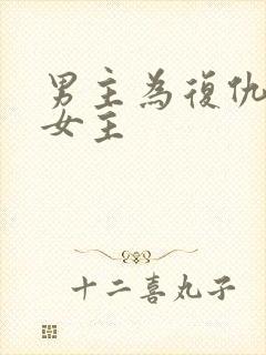 男主为复仇接近女主