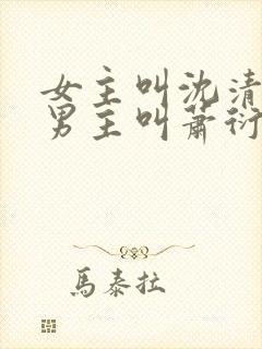 女主叫沈清辞,男主叫萧衍