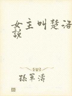 女主叫楚洛的小说封面