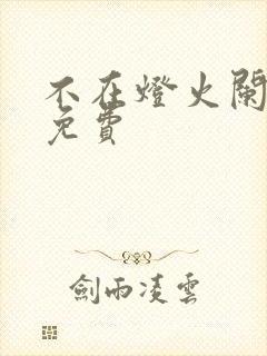 不在灯火阑珊处免费封面