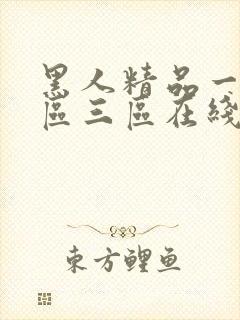 黑人精品一区二区三区在线看封面